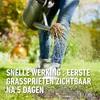 Compo Rasensamen 2kg bis 100m² - Reparaturrasen beschichtet Produktbild-Vorschau 6
