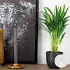 Bloomique - Dypsis Lutescens - Goldpalme - Areca - Palme - Produktbild-Vorschau 2