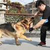 Beisswurst für Hunde, Jute Beisswurst Tauziehen und Produktbild-Vorschau 4