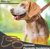 Darcis Hundehalsband Leder Produktbild-Vorschau 7