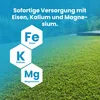 LERAVA® síran železnatý [70 m²] – dodává železo, draslík a Náhled obrázku produktu 5