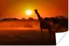 MuchoWow® Poster Giraffe - Sonne - Savanne 60x40 cm - Produktbild-Vorschau 1