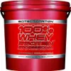 Scitec Nutrition Whey Protein Professional 5kg Eimer Produktbild-Vorschau 5