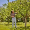 A woman is using a long-handled pruning tool to trim branches from a tree in a garden. Produktbild-Vorschau