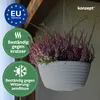 KONZEPT Blumenampel Hängend für Innen und Außen, Produktbild-Vorschau 6