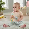 Mattel FP maracas a sonagli giocattolo attività HMF34 / 3 Anteprima dell’immagine prodotto 9