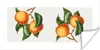 MuchoWow® Poster Lebensmittel - Orange - Pflanze 40x20 cm - Produktbild-Vorschau 1
