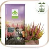 Rhododendronerde 20 l - Hochwertig - Nährstoffreich - Für Produktbild-Vorschau 2