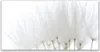 Tulup Leinwand-Bilder 120x60 Wandbild Canvas Kunstdruck Produktbild-Vorschau 1