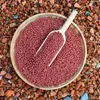 10 Liter (3,7 kg) Lyra Pond® Pond Colour Astax Koi Pellets Produktbild-Vorschau 5