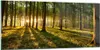 Bilder auf glas - Wald grün Sonnenstrahlen Natur - 120x50cm Produktbild-Vorschau 1