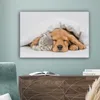 MuchoWow® - Leinwandbilder - Haustiere - Hund - Katze - Produktbild-Vorschau 4