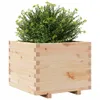 vidaXL Pflanzkübel 60x60x49,5 cm Massivholz Kiefer Produktbild-Vorschau 4