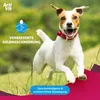VITAR Veterinae ArtiVit Sciroppo 1000ml con dispenser Anteprima dell’immagine prodotto 7