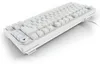 Sharkoon SGK25, 75%, Kabelgebunden, USB, QWERTZ, RGB-LED, Produktbild-Vorschau 5
