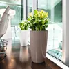 Two planters with plants in an office or modern interior setting. Produktbild-Vorschau