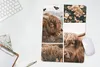 MuchoWow® Mauspad Mousepad Schottischer Hochländer - Produktbild-Vorschau 5