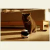 A brown cat sits on a wooden floor, looking at a small white and black robot toy. Náhled obrázku produktu