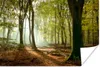 MuchoWow® Poster Wald - Sonne - Jahreszeiten - Landschaft Produktbild-Vorschau 1