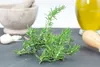 A sprig of rosemary is in the foreground, with a mortar and pestle, garlic, and a bottle of olive oil in the background. Produktbild-Vorschau