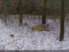Outdoor Wildlife Hunting Trail und Wildkamera OXE Spider Produktbild-Vorschau 32