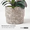 HOMESCAPES Umělá růžovo-bílá orchidej Phalaenopsis ve Náhled obrázku produktu 4