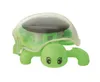 moses. Verlag GmbH PhänoMINT Solar-Schildkröte 6 Produktbild-Vorschau 5