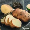 Agria Pflanzkartoffeln 28/35 (5 kg) - Organifer Produktbild-Vorschau 8