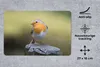 MuchoWow® Mauspad Mousepad Pfahl - Rotkehlchen - Natur Produktbild-Vorschau 2