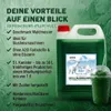 Ice Bär sirop Slush aspérule odorante 5 litres 1:5 sans AZO Voir les images du produit 2