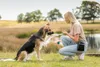 TRIXIE 2805 Trockenfisch für Katzen 50 g Produktbild-Vorschau 7