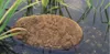 Oase AquaHumin Biologischer Algenschutz 10 Ltr. Produktbild-Vorschau 11