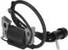 Module de remplacement de la bobine d'allumage pour moteur Voir les images du produit 6