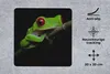 MuchoWow® Mauspad Mousepad Rotäugiger Quecksilberfrosch auf Produktbild-Vorschau 2