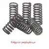 Kit 6 molle frizione EBC CSK131 Anteprima dell’immagine prodotto 2