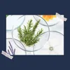 Phyto Nourishment Phyto 7 Nourishing Day Cream intenzivní Náhled obrázku produktu 9