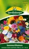 Sommerblumen, Schmücke Garten und Heim Produktbild-Vorschau 3