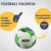 Best Sporting Fussball Kinder Fußball Valencia blau-grün I Produktbild-Vorschau 2