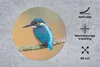 MuchoWow® Mauspad Mousepad Vogel - Eisvogel - Tiere - Zweig Produktbild-Vorschau 2