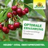 Neudorff Neudo-Vital Obst-Spritzmittel 250 ml Produktbild-Vorschau 6