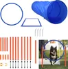 XINZI Agility Set Hunde Agility Ausrüstungs Set für Hunde Produktbild-Vorschau 1
