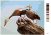 Zuty - Malen nach Zahlen - ENTEN AUF EINEM BAUMSTAMM (D. Produktbild-Vorschau 3