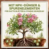 Green Home Olivenbaum- & Oleandererde 72 L – für Produktbild-Vorschau 4