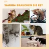 PawHut Katzenlaufrad, Laufrad für Katzen, 91 cm, mit Produktbild-Vorschau 8