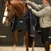 Horseware Liner 100 Liner Navy/Navy HW 20, Horseware Produktbild-Vorschau 5