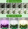 Pflanzenlampe LED Vollspektrum, Grow Lampe für Produktbild-Vorschau 3
