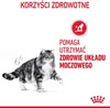 A cat is shown next to text describing health benefits. Produktbild-Vorschau