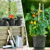 Plastard Blumentopf 10er Set Ø15 cm mit Untersetzer Produktbild-Vorschau 7