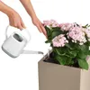 Fioriera LECHUZA CANTO Stone 40 Low Sand beige | fioriera Anteprima dell’immagine prodotto 11