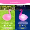 Topool CT212FG Lampe solaire flottante Flamant pour piscine Voir les images du produit 3